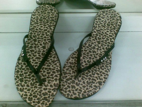 RASTEIRINHAS REF. 13